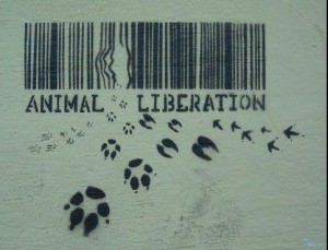Animal liberation